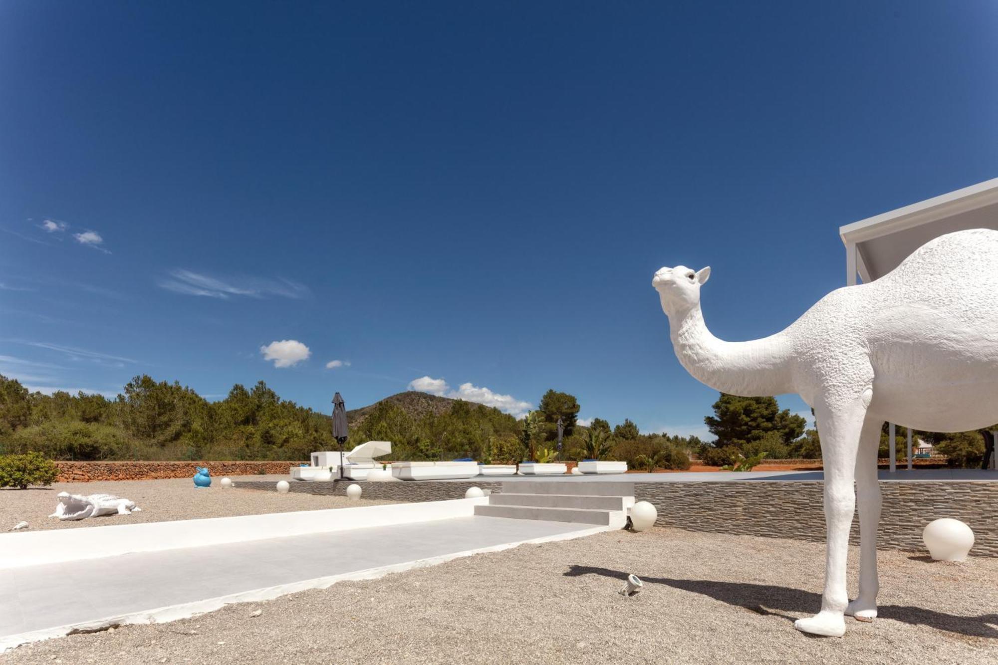 Villa Boutique Can Plana Sant Jordi de ses Salines Esterno foto
